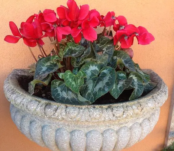 La Stella Di Naxos 3*