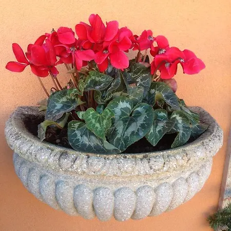 La Stella Di Naxos 3*